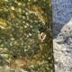 Maya Wall Mask Collection - Unique Stone Mosaic