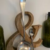 1 ladle and 1 spoon in silver