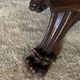 Revival walnut sheath harness corinthian marquee nineteenth