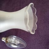 Set of wooden and frosted glass wall lights