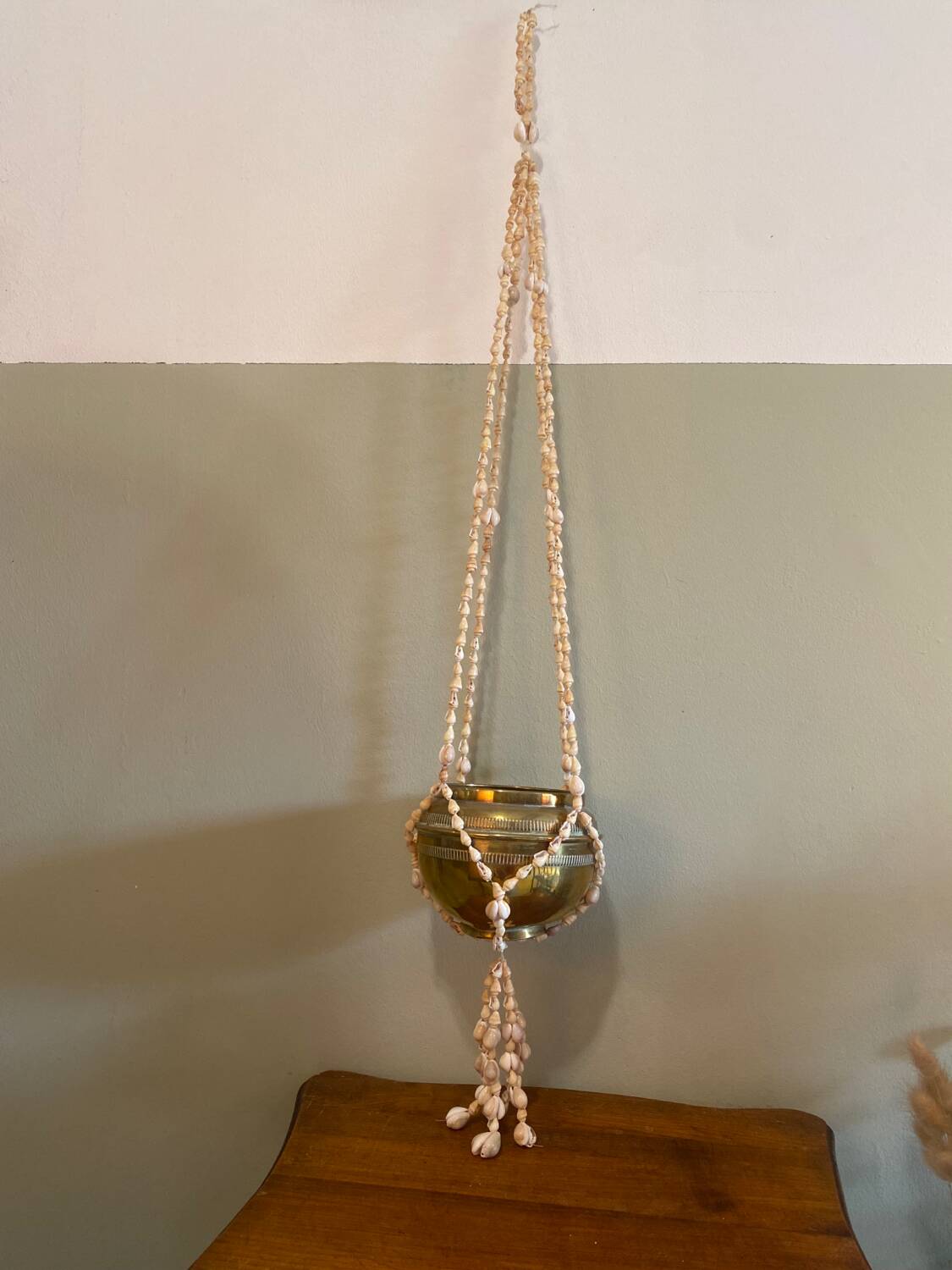 Shell plant holder