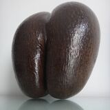 Old basket coco Seychelles