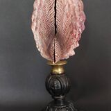 Cabinet de Curiosités coquillage nodipecten subnodosus sur socle