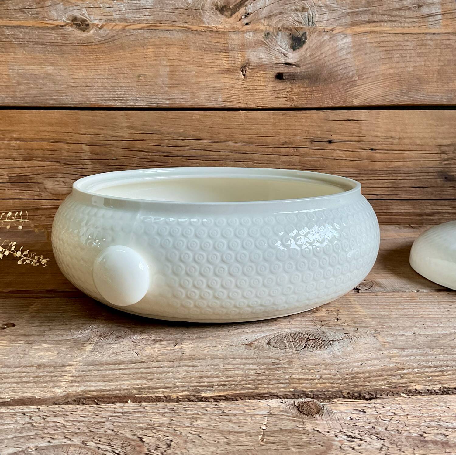 Soup tureen Gien France