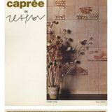 Large Capron table
