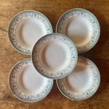 Wilbur Iron Earth Plates