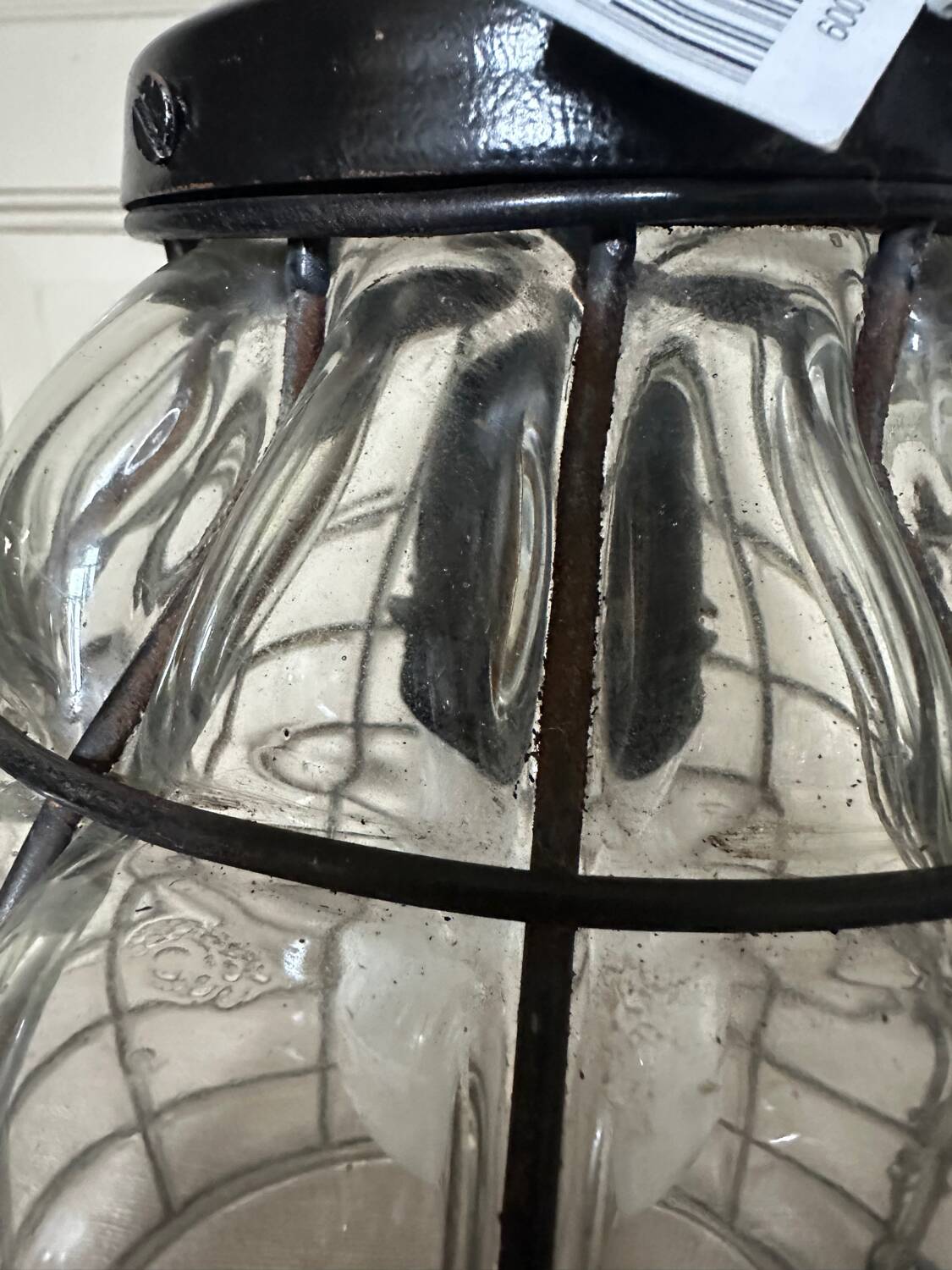 Glass and metal pendant light, Ulysses' garden