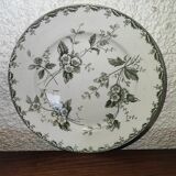 Old plate new galleries s.f.r saint amand and Hamage model Rosette