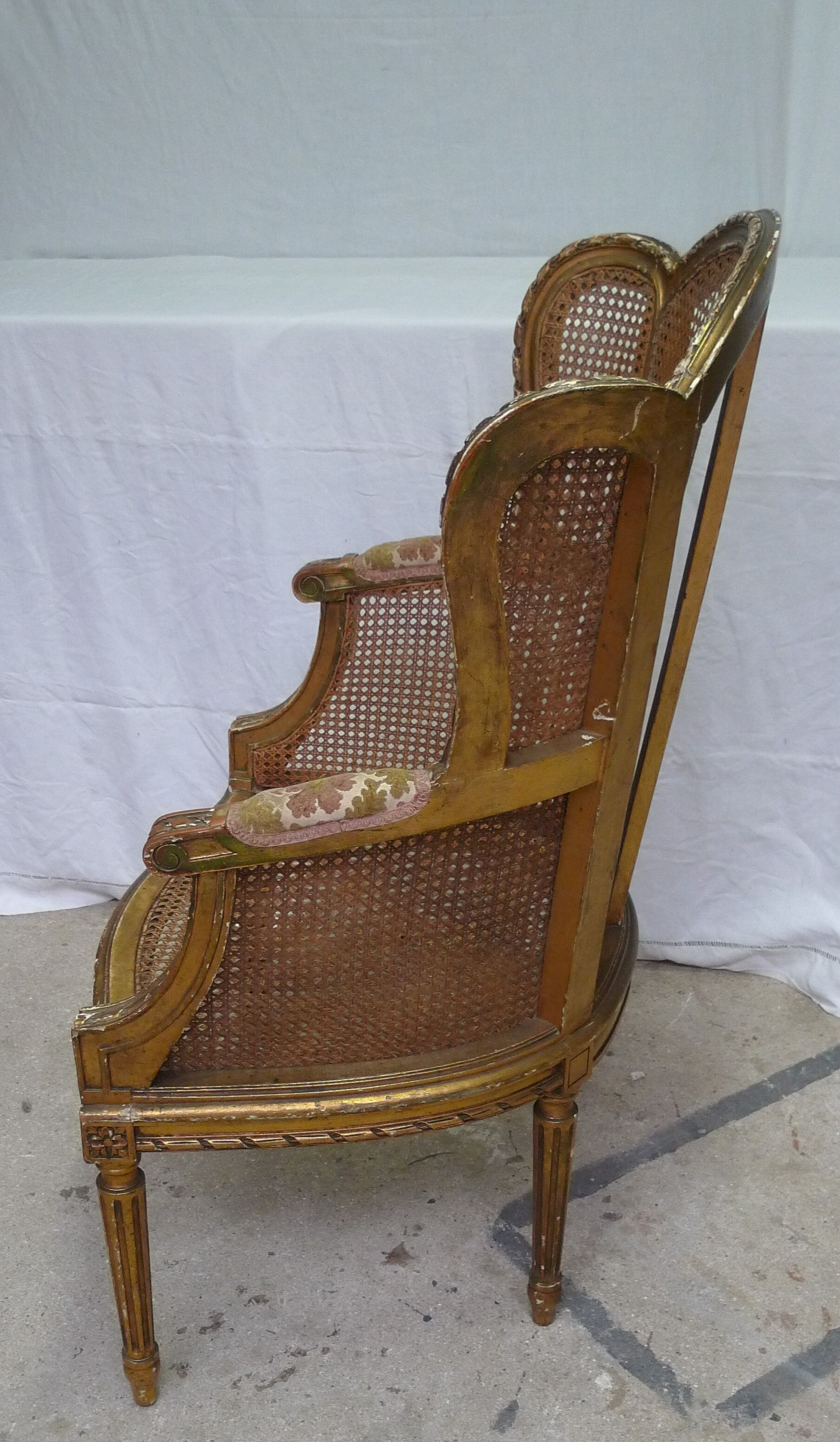 Bergere in ear canning