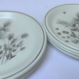 Set of 6 flat english plates