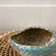 Vintage seashell ceramic