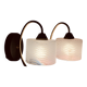 Pair of wall sconces with a swan neck in brass and a white glass shade.