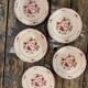 Lot of 5 plates Villeroy - Boch model Frisco red