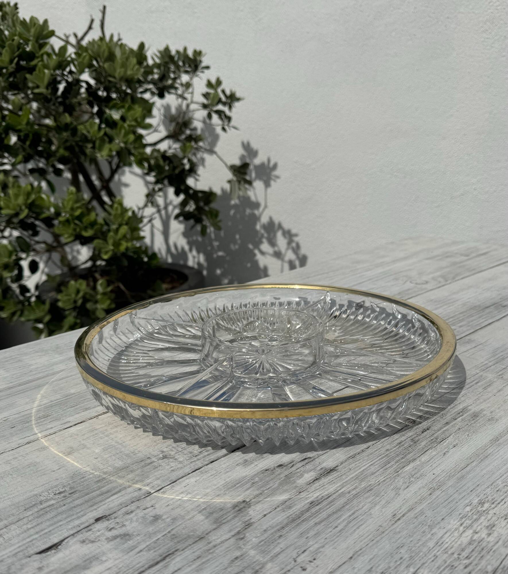 Large compartmentalized dish