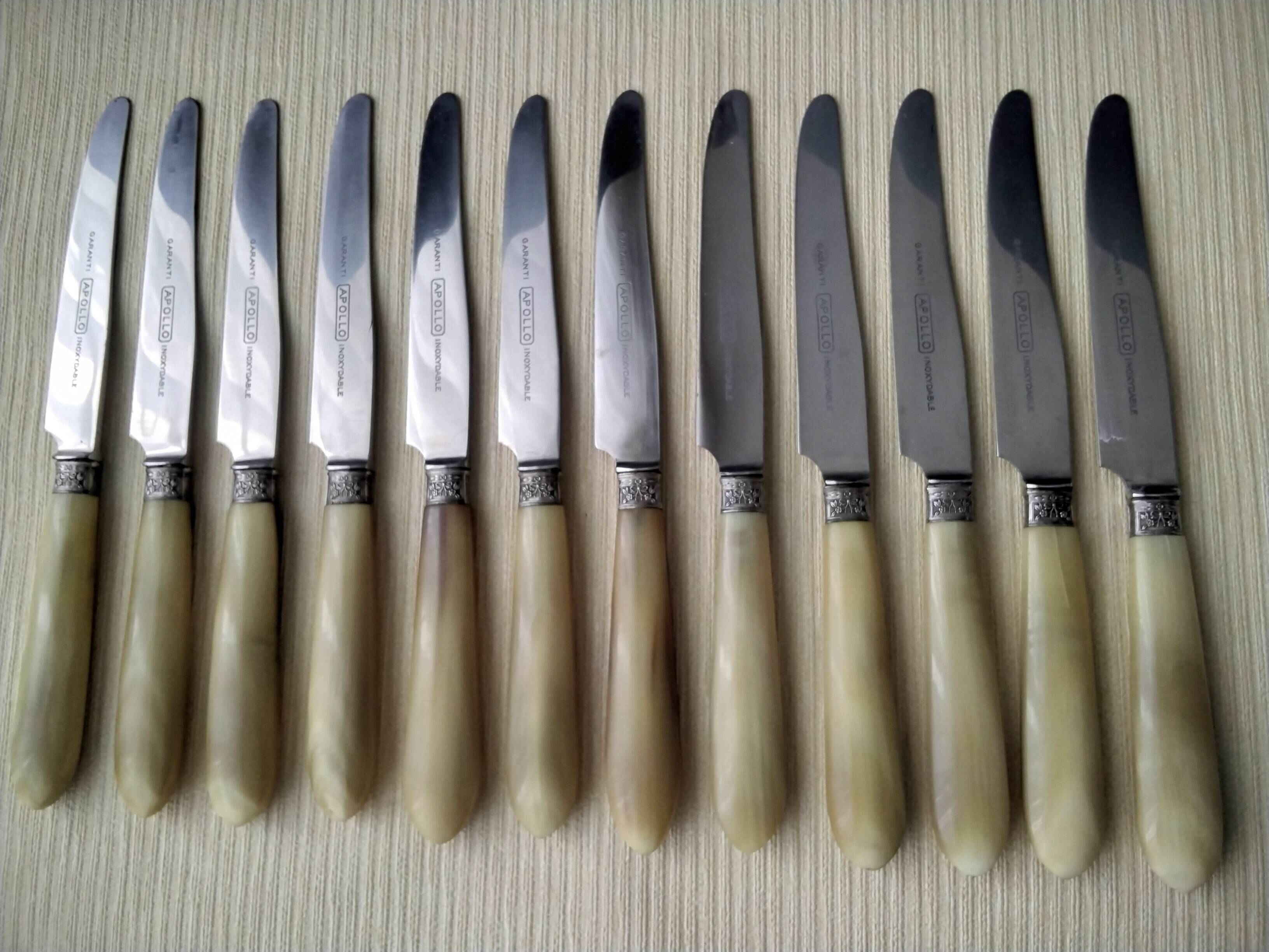 12 Apollo cheese knives Stainless steel and bovine horn