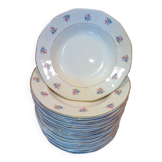 Set of 24 Digeoin Sarreguemines porcelain soup plates
