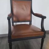 Fauteuils jacob de style louis XVI