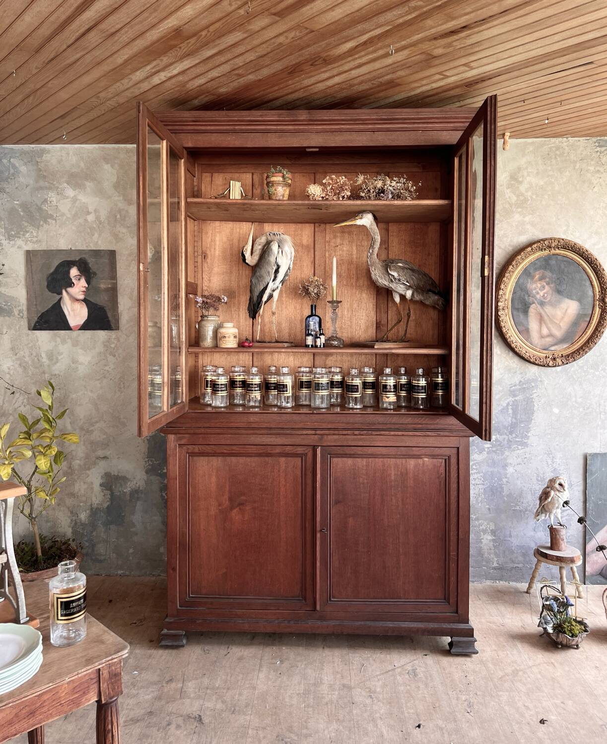 Glass-fronted bookcase