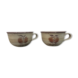 Breakfast cups in reseeds