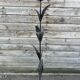 Metal floor lamp, foliage model