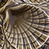 Set of 5 oyster plates