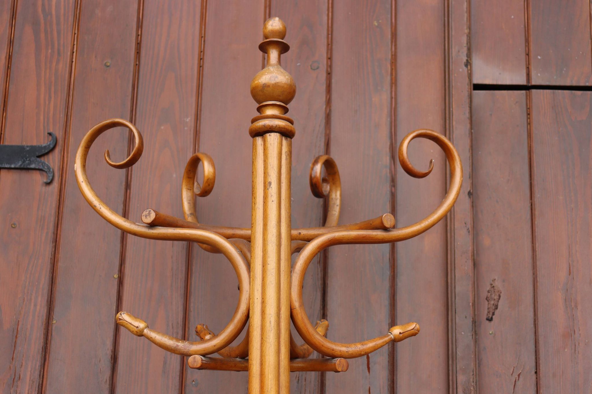 Portemanteau perroquet mural en demi style Thonet, 1900
