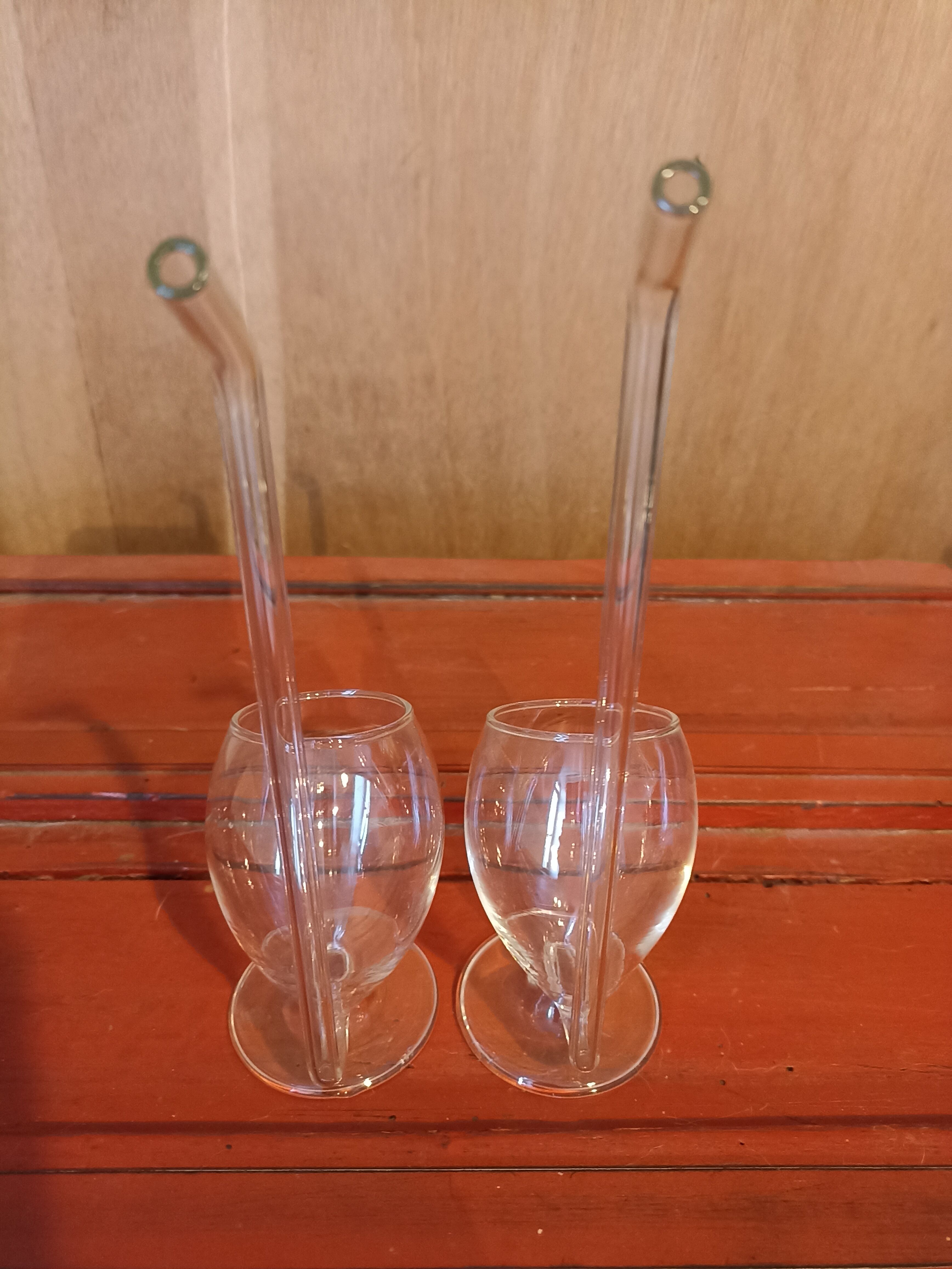 Paire de verres avec paille intégrée