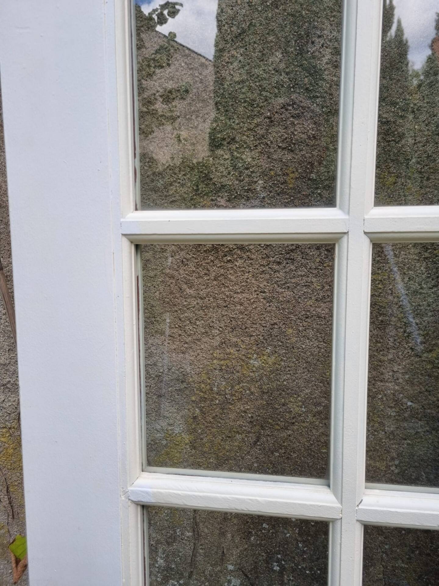 Double old doors