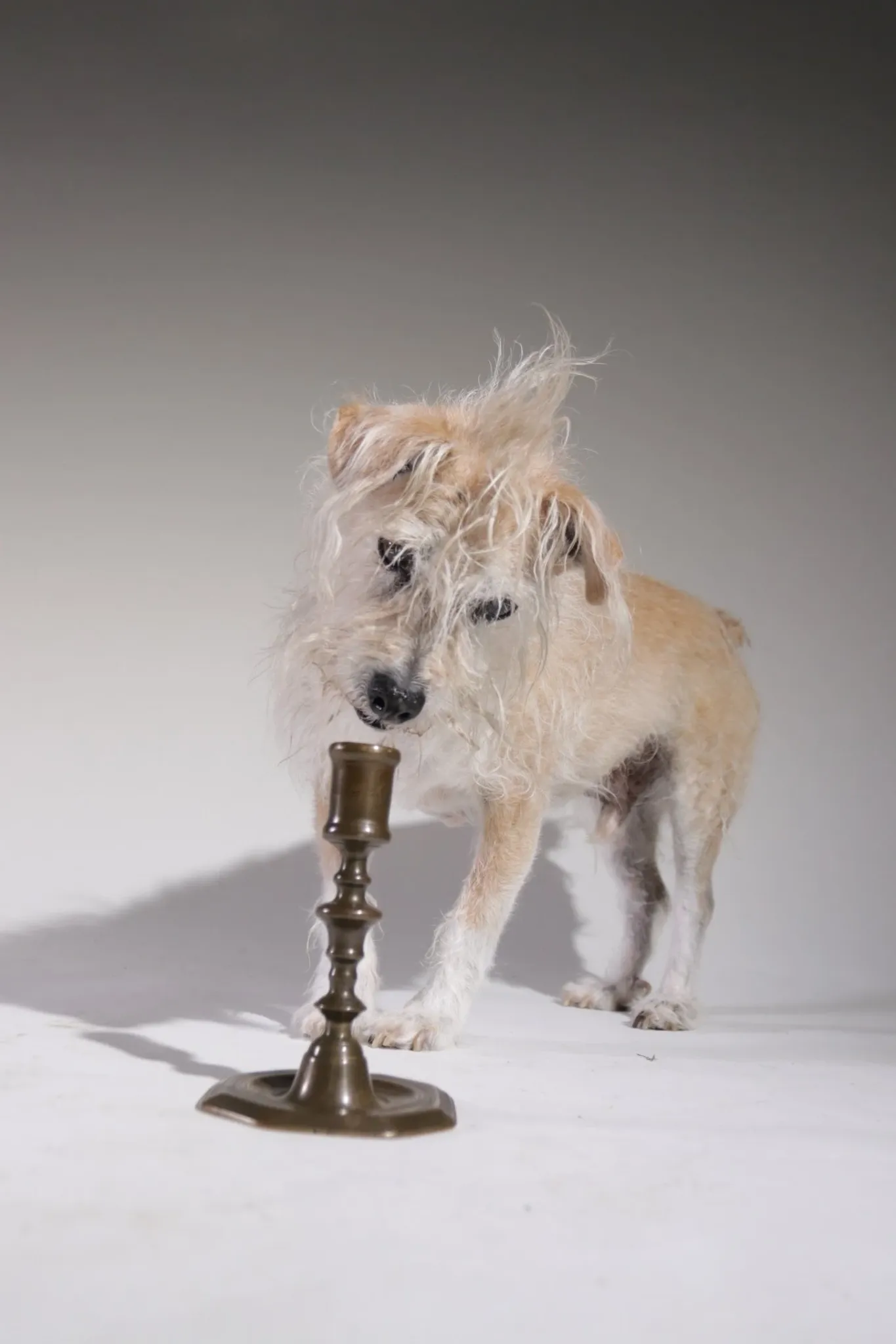 French 18th-century brass candlestick – Louis XV