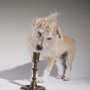 French 18th-century brass candlestick – Louis XV
