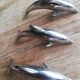 Set of three silver metal dolphin place markers
