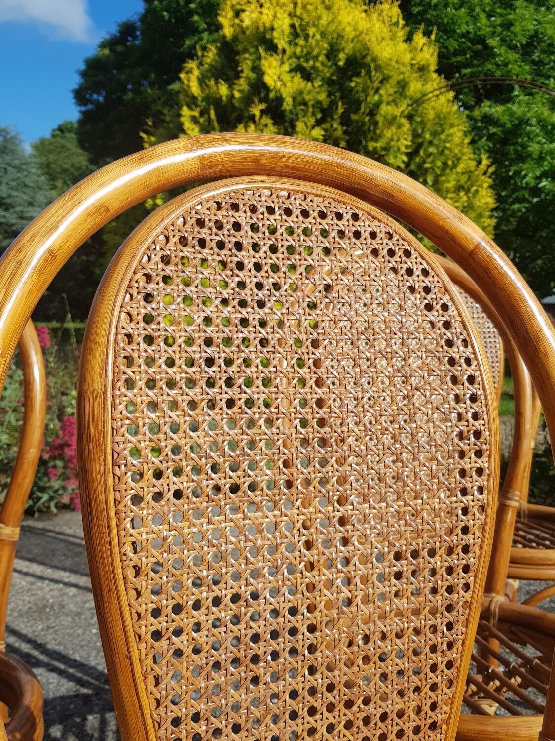 Lot 5 rattan chairs and canning 70s