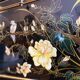 Chinese secretarial cabinet lacquered black Asian