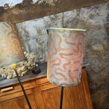 Double foot lamp compass and harness