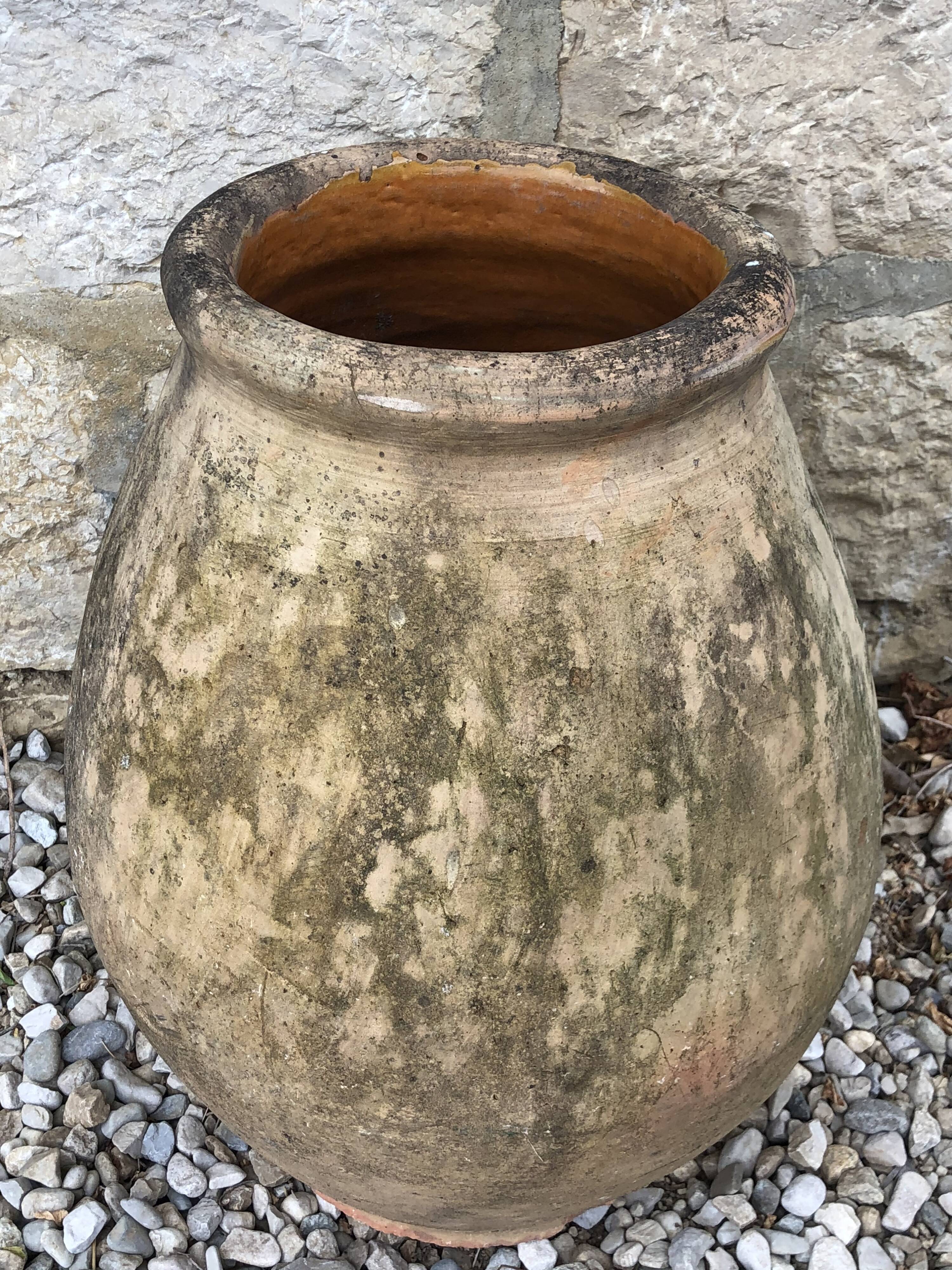 Large terracotta jar