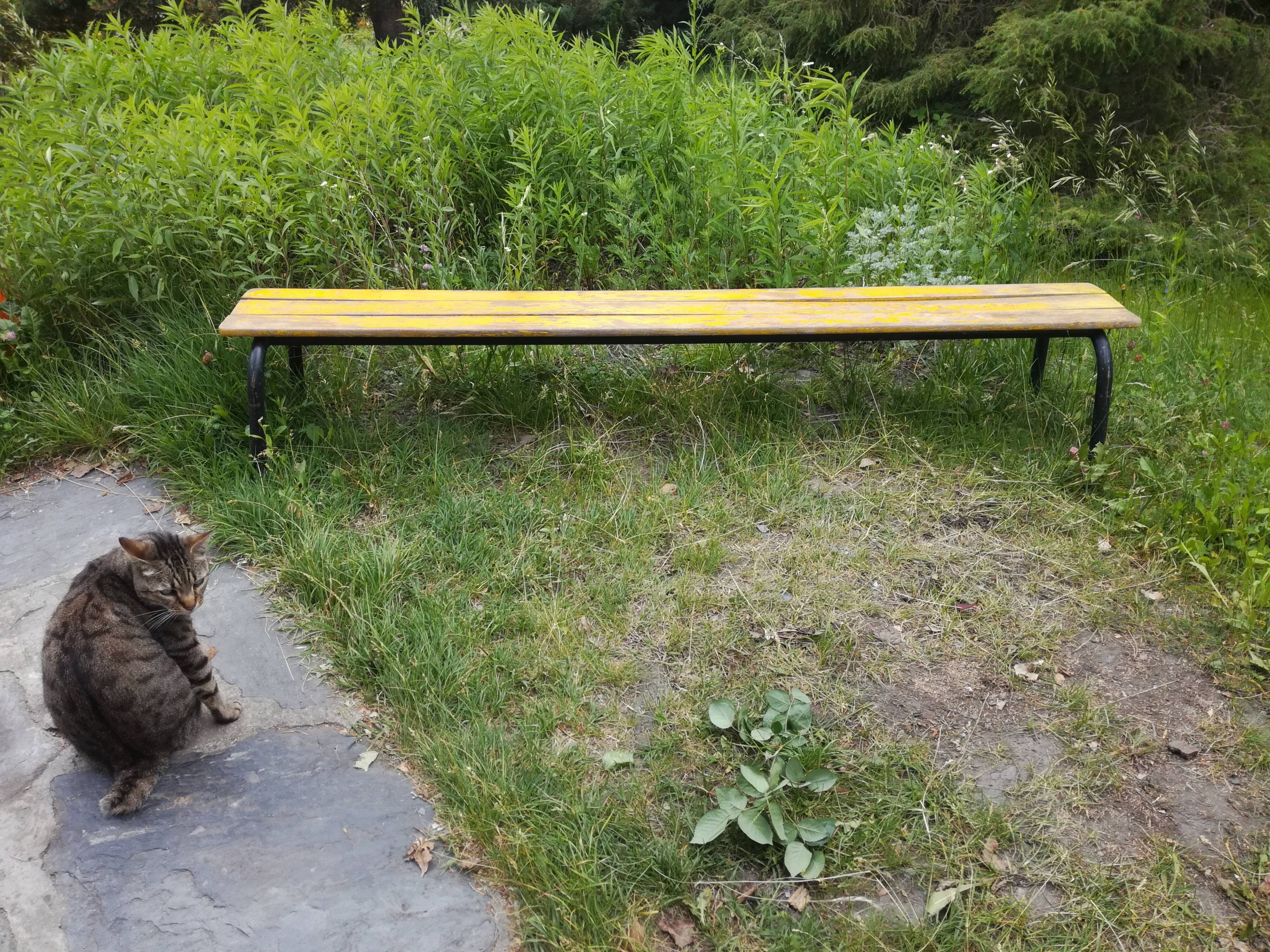 Bench of schoolchildren