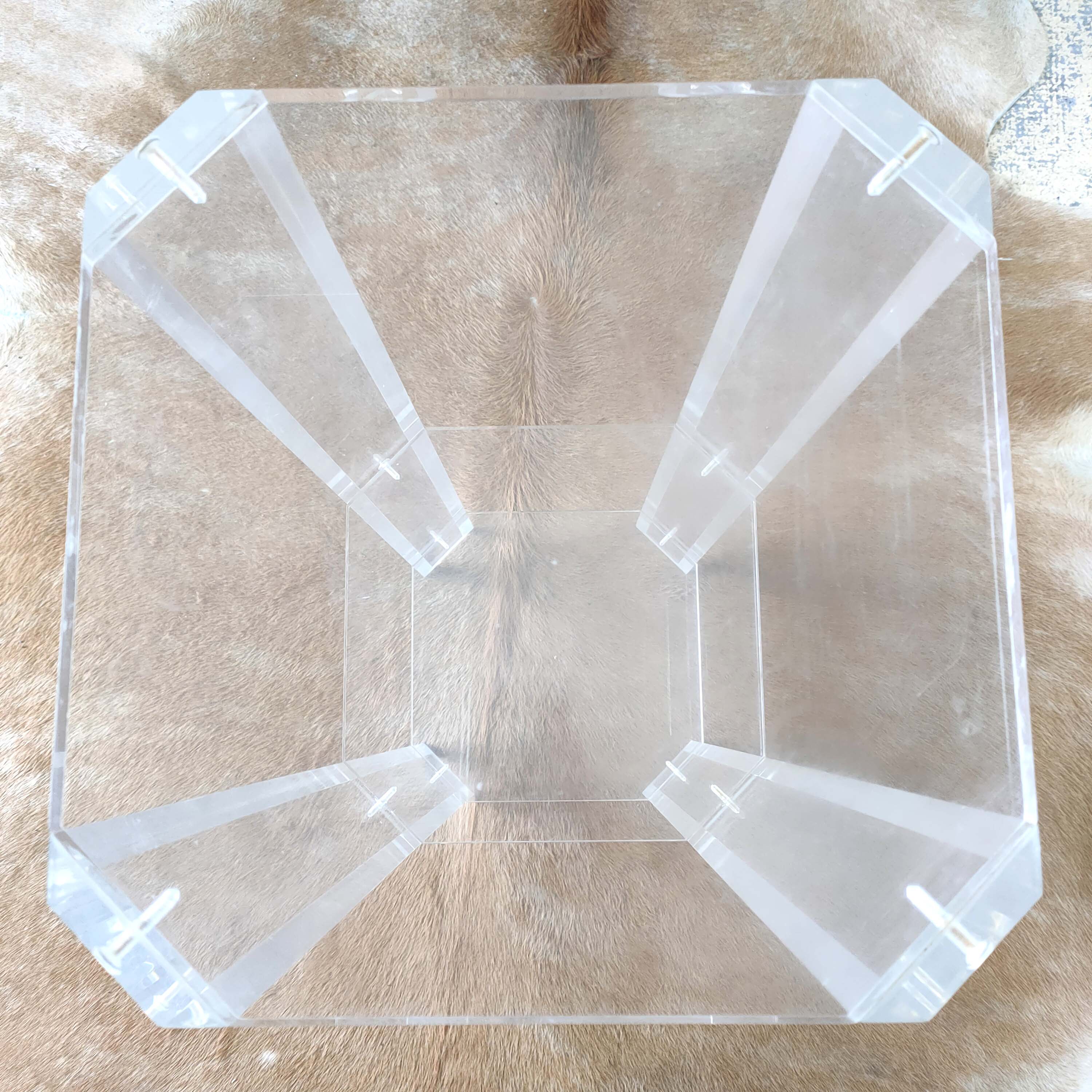 Transparent harness David Lange