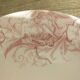 Porcelain plate of Lunéville model Griffon