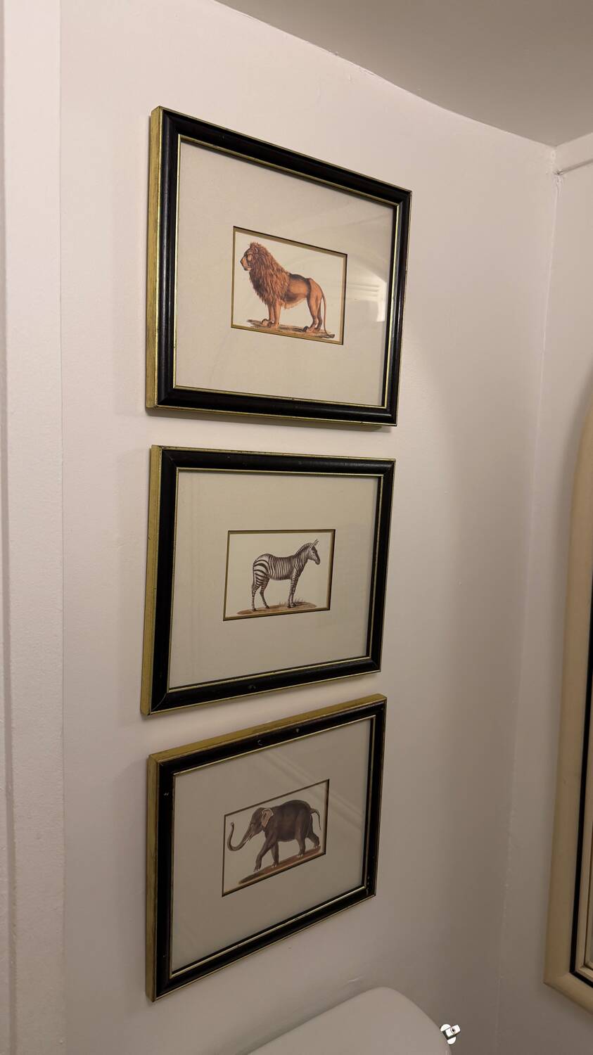 Ensemble de trois gravures animalières style histoire naturelle