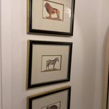 Ensemble de trois gravures animalières style histoire naturelle