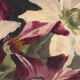 Peinture huile sur toile fleurs clématites signé François Rose 1904