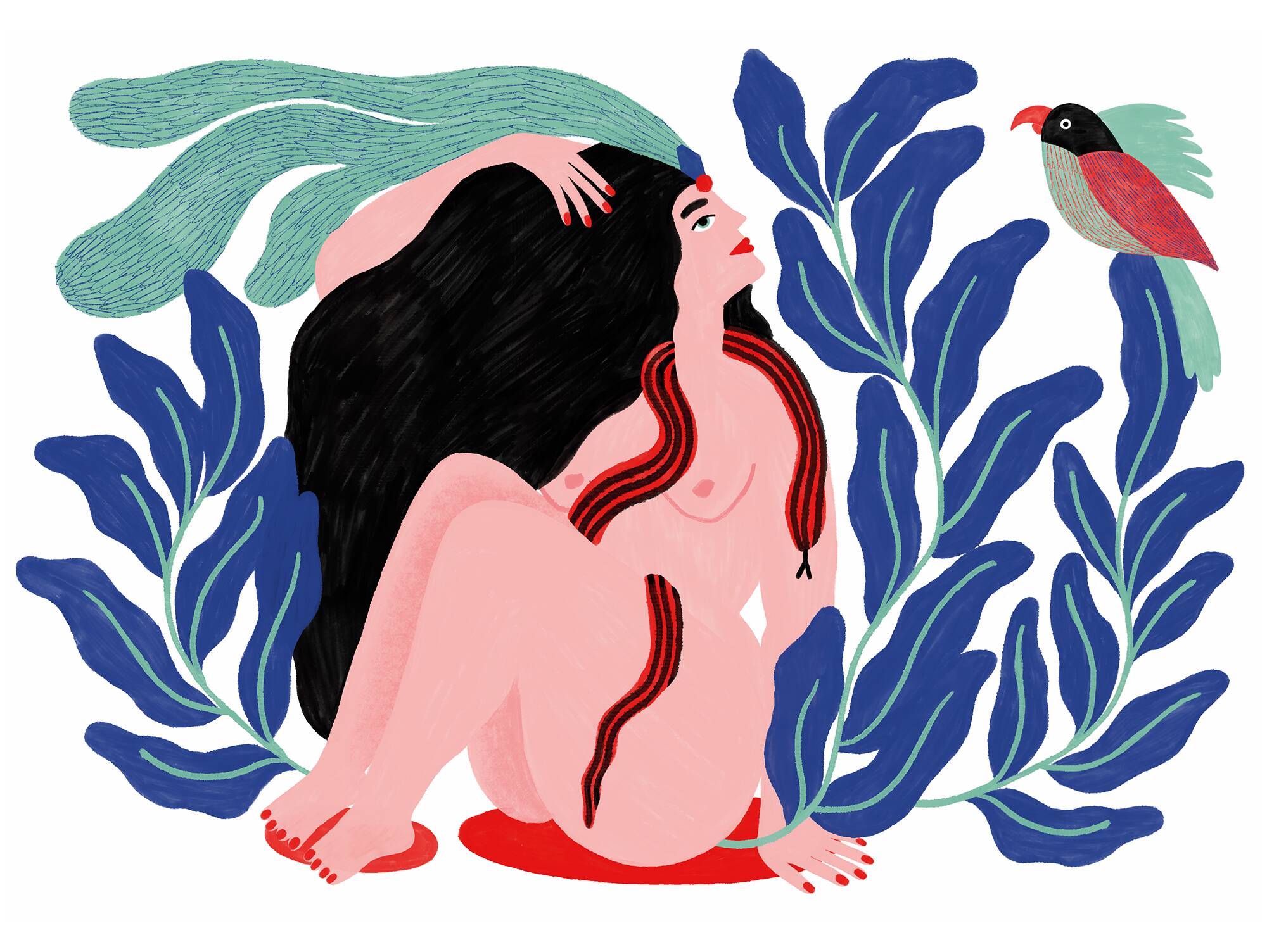 Jungle - illustration a4