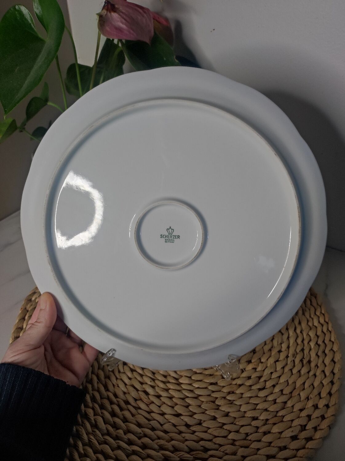 Porcelain plate