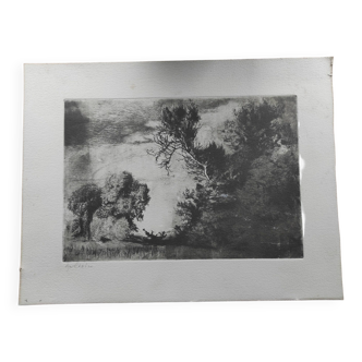 Old lithograph of landscape of trees and forest signed