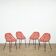 Suite de 4 chaises « Coquillage » Pierre Guariche pour Meurop