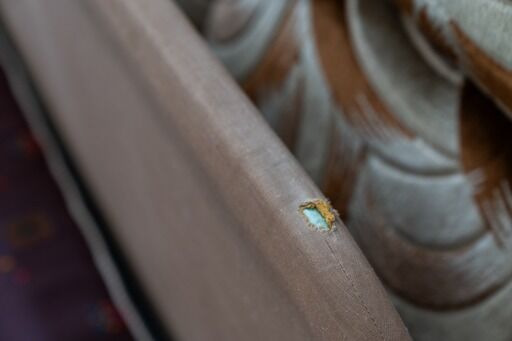 Canapé-lit 3 places avec 2 fauteuils, années 1970