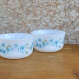 Series of 4 Scania and Veronica ramekins from Arcopal 70s/80s