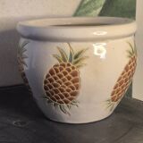 Pineapple planter