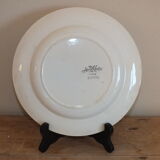 Duo d'assiettes plates Sarreguemines service Danube