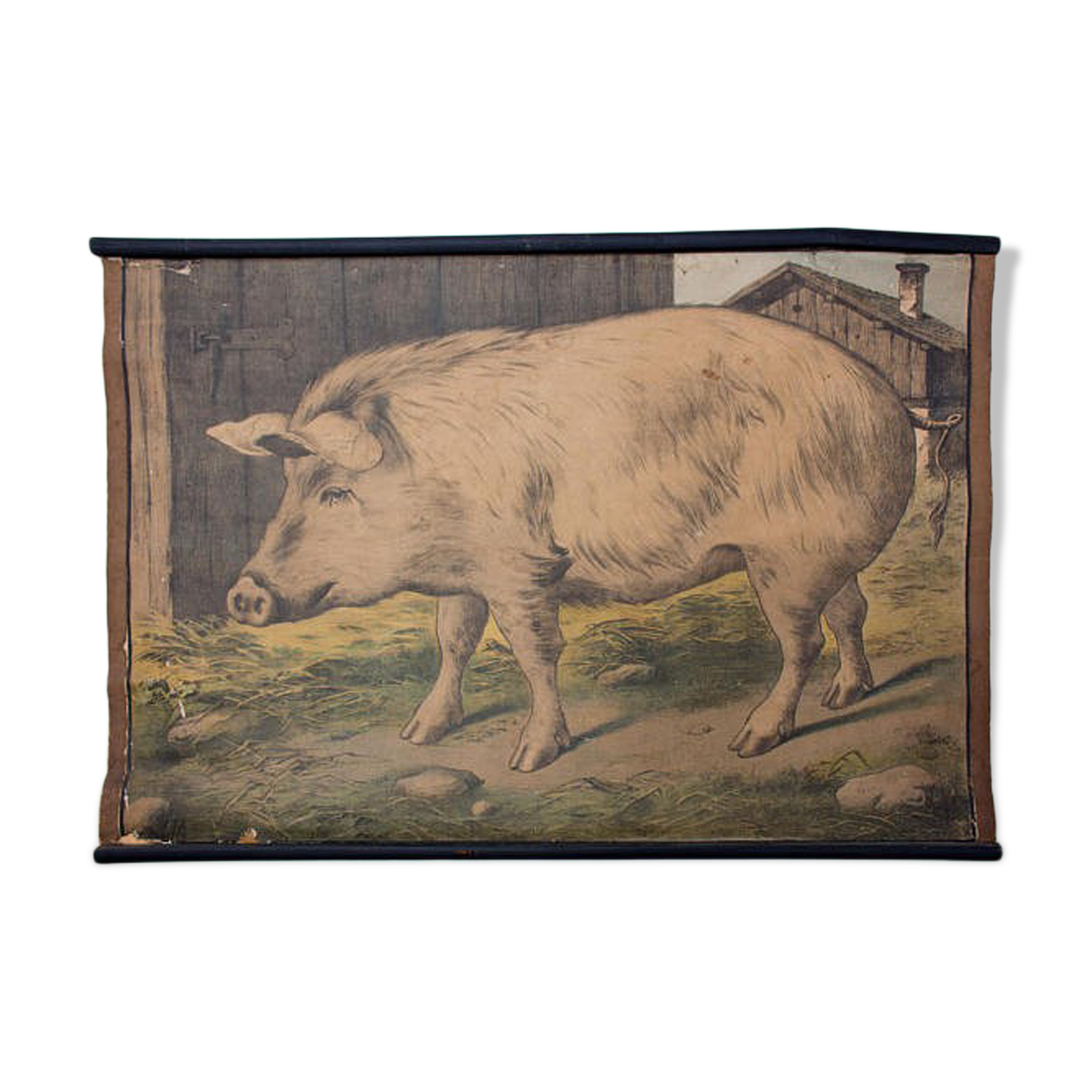 Poster "pig" lithography Karl Jansky Böhmen 1897